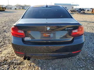 2017 BMW 2 Series 230i with VIN WBA2F9C30H7A40308, listed as a Copart auction lot 41564795 with 53,403 mi miles and Salvage title. Bid and sale history available at DreamBid. Image 6.