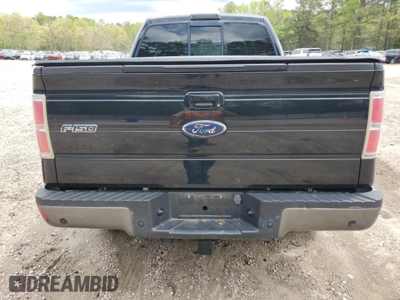 2009 Ford F-150 XL with VIN 1FTPW14V49KA73074, listed as a Copart auction lot 51887195 with 212,130 mi miles and Salvage Title. Bid and sale history available at carsss.com. Image 6.