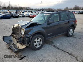 2009 Ford Escape XLS with VIN 1FMCU92799KB46782, listed as a Copart auction lot 85686124 with 203,395 mi miles and Non repairable. Bid and sale history available at DreamBid. Image 1.