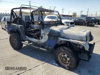1995 Jeep Wrangler S with VIN 1J4FY19P8SP274074, listed as a Copart auction lot 74381094 with 0 mi miles and Salvage Title. Bid and sale history available at carsss.com. Image 4.