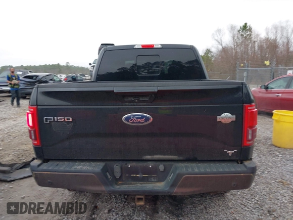 2016 Ford F-150 XLT with VIN 1FTEW1EG1GFC00604, listed as a IAAI auction lot 41519752 with 120,834 mi miles. Bid and sale history available at carsss.com. Image 16.