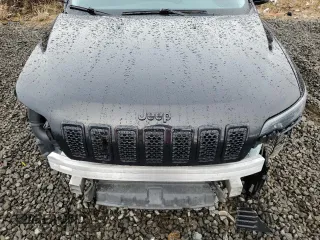 2019 Jeep Cherokee Altitude with VIN 1C4PJMLN1KD345771, listed as a Copart auction lot 48953285 with 119,719 mi miles and Salvage Title. Bid and sale history available at carsss.com. Image 11.