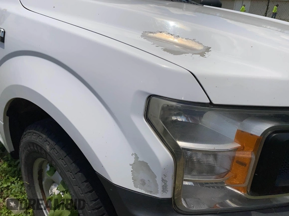 2018 Ford F-150 XL z VIN 1FTEW1C50JKF63086, wystawiony jako IAAI lot #42698450 z przebiegiem 146 235 mil mil oraz . Historia ofert i sprzedaży dostępna na DreamBid. Obrazek 6.