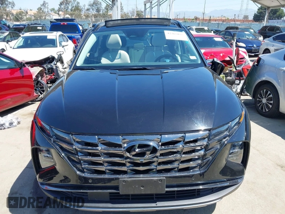 2023 Hyundai Tucson Limited with VIN KM8JECA14PU127220, listed as a IAAI auction lot 42265855 with 59,446 mi miles and . Bid and sale history available at DreamBid. Image 12.