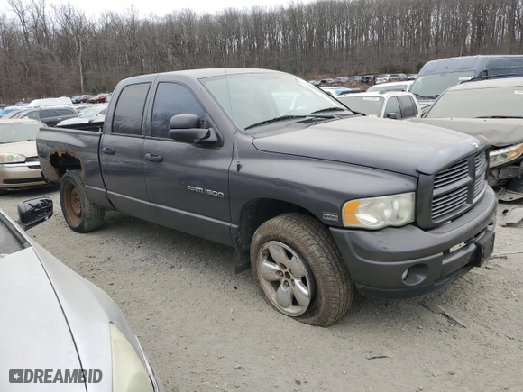 2003 Dodge Ram 1500 ST with VIN 1D7HU18D43S272280, listed as a Copart auction lot 48110485 with 191,372 mi miles and Salvage Title. Bid and sale history available at carsss.com. Image 4.