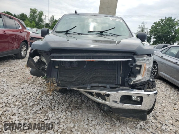 2019 Ford F-150 XL with VIN 1FTEW1E56KFB84343, listed as a Copart auction lot 60722365 with Not provided miles and Clean title. Bid and sale history available at DreamBid. Image 5.
