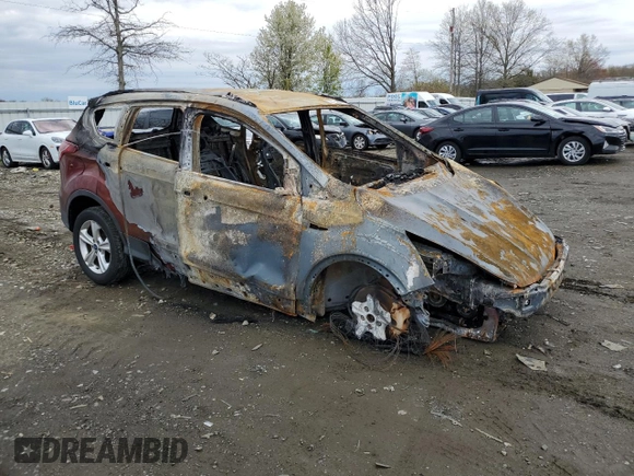 2014 Ford Escape SE with VIN 1FMCU0GXXEUA81170, listed as a Copart auction lot 52793675 with 0 mi miles and Salvage Title. Bid and sale history available at carsss.com. Image 4.