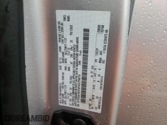 2015 Ford F-150 XLT with VIN 1FTEW1EP2FKD75675, listed as a Copart auction lot 55873515 with 163,367 mi miles and Salvage title. Bid and sale history available at DreamBid. Image 13.