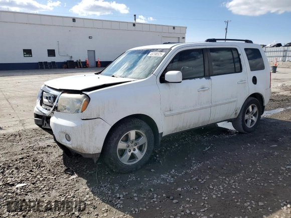 2011 Honda Pilot EX-L with VIN 5FNYF3H74BB031356, listed as a Copart auction lot 49798525 with 318,151 mi miles and Salvage Title. Bid and sale history available at carsss.com. Image 1.