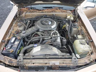 1985 Ford Thunderbird with VIN 1FABP46F2FH175017, listed as a IAAI auction lot 42222867 with 77,911 mi miles and . Bid and sale history available at DreamBid. Image 10.