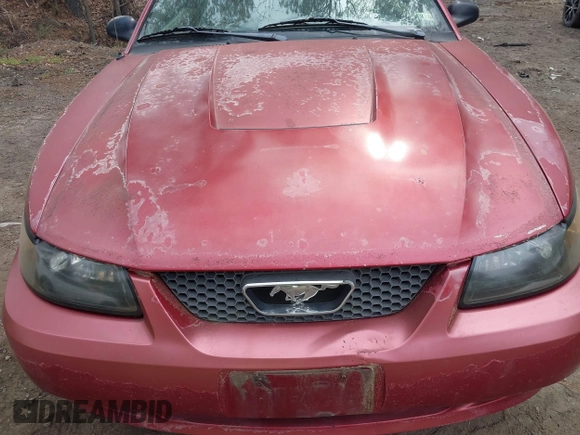 2004 Ford Mustang Standard with VIN 1FAFP40654F211933, listed as a IAAI auction lot 41953604 with 158,069 mi miles. Bid and sale history available at carsss.com. Image 12.