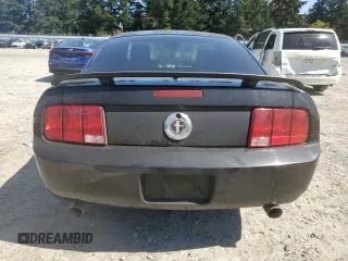 2009 Ford Mustang with VIN 1ZVHT80N295107200, listed as a Copart auction lot 53107595 with 102,704 mi miles and Salvage Title. Bid and sale history available at carsss.com. Image 6.