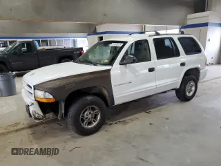 1999 Dodge Durango with VIN 1B4HS28Y4XF516045, listed as a Copart auction lot 51082025 with 267,168 mi miles and Salvage title. Bid and sale history available at DreamBid. Image 1.