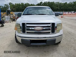 2009 Ford F-150 XL with VIN 1FTRF12W89KB56933, listed as a Copart auction lot 61101415 with 189,462 mi miles and Salvage title. Bid and sale history available at DreamBid. Image 5.