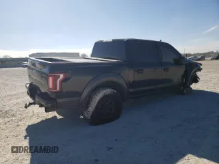 2019 Ford F-150 Raptor with VIN 1FTFW1RG0KFB43691, listed as a Copart auction lot 42049535 with 174,785 mi miles and Salvage Title. Bid and sale history available at carsss.com. Image 3.