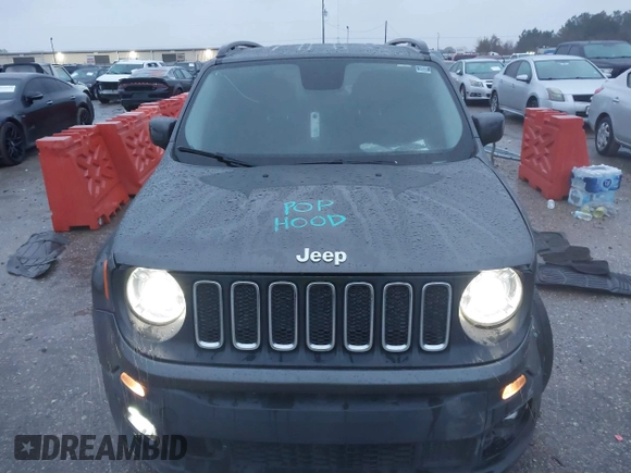 2017 Jeep Renegade Latitude with VIN ZACCJABB8HPF94423, listed as a IAAI auction lot 41272052 with 124,239 mi miles and . Bid and sale history available at DreamBid. Image 12.