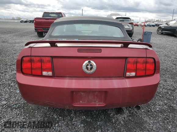 2006 Ford Mustang Standard with VIN 1ZVFT84N365233868, listed as a Copart auction lot 79687174 with 210,062 mi miles and Clean Title. Bid and sale history available at carsss.com. Image 6.
