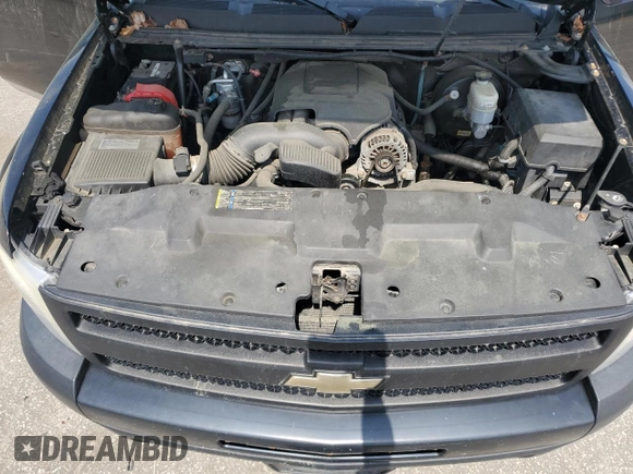 2009 Chevrolet Silverado 1500 Work Truck with VIN 1GCEK19069Z207199, listed as a Copart auction lot 51311125 with 114,759 mi miles and Salvage Title. Bid and sale history available at DreamBid. Image 11.