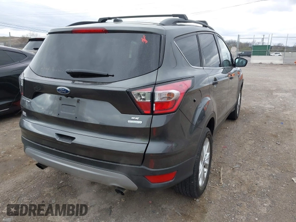 2017 Ford Escape SE with VIN 1FMCU0GD9HUE90819, listed as a IAAI auction lot 41837745 with 123,543 mi miles. Bid and sale history available at carsss.com. Image 4.