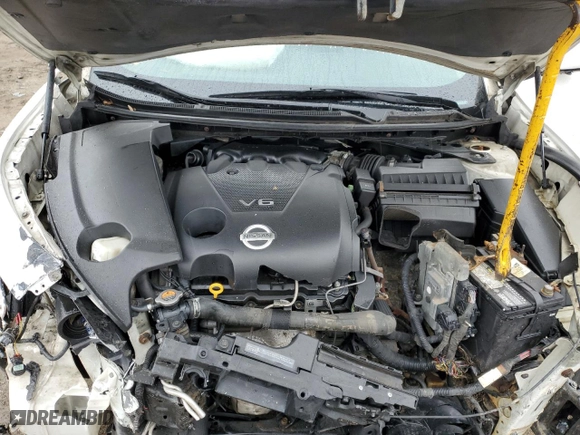2009 Nissan Maxima 3.5 S with VIN 1N4AA51EX9C826770, listed as a Copart auction lot 50288265 with 151,972 mi miles and Salvage Title. Bid and sale history available at carsss.com. Image 13.