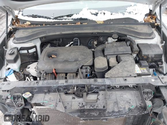 2019 Hyundai Santa Fe Ultimate with VIN 5NMS5CAD1KH000394, listed as a IAAI auction lot 41455421 with 42,886 mi miles and . Bid and sale history available at DreamBid. Image 10.