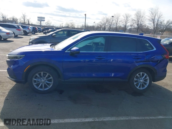 2025 Honda CR-V EX with VIN 7FARS4H43SE011163, listed as a IAAI auction lot 41530834 with 1,346 mi miles and . Bid and sale history available at DreamBid. Image 14.