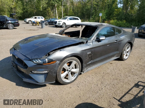 2019 Ford Mustang GT with VIN 1FA6P8CF6K5190189, listed as a Copart auction lot 68164184 with Not provided miles and Non repairable. Bid and sale history available at DreamBid. Image 1.