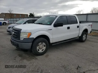 2009 Ford F-150 XL z VIN 1FTPW14V89FB04772, wystawiony jako Copart lot #48988685 z przebiegiem 259 521 mil mil oraz Szkody całkowita. Historia ofert i sprzedaży dostępna na DreamBid. Obrazek 1.