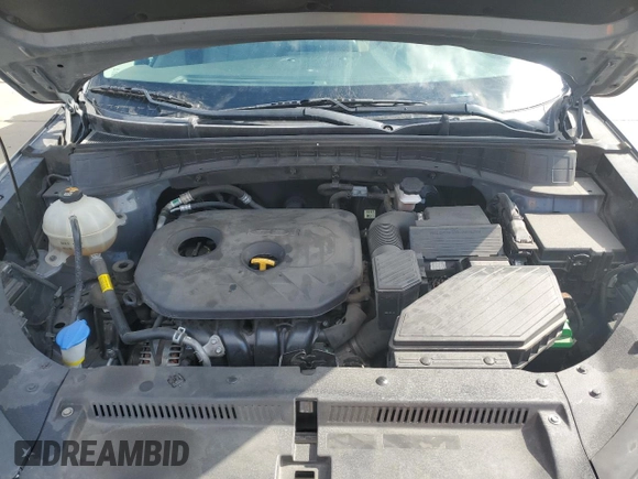 2019 Hyundai Tucson SE with VIN KM8J2CA40KU957270, listed as a Copart auction lot 53709625 with 113,496 mi miles and Clean Title. Bid and sale history available at carsss.com. Image 11.