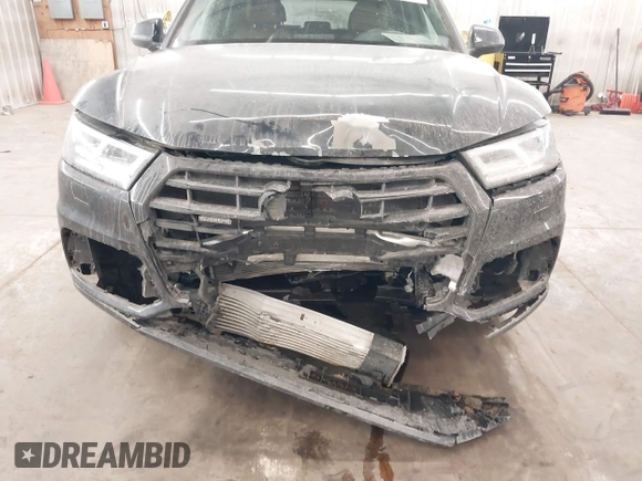 2019 Audi Q5 Premium Plus z VIN WA1BNAFY4K2091062, wystawiony jako IAAI lot #41702189 z przebiegiem 80 905 mil mil oraz . Historia ofert i sprzedaży dostępna na DreamBid. Obrazek 6.