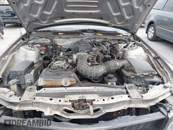 2009 Ford Mustang with VIN 1ZVHT84N995137661, listed as a IAAI auction lot 41380685 with 185,620 mi miles and . Bid and sale history available at DreamBid. Image 10.