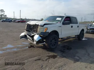 2013 Ford F-150 XL with VIN 1FTFW1EF1DKD13578, listed as a IAAI auction lot 41590263 with 192,230 mi miles and . Bid and sale history available at DreamBid. Image 16.