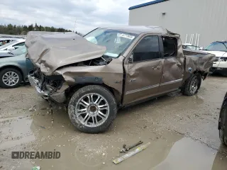 2009 Dodge 1500 SLT with VIN 1D3HV13T49S771702, listed as a Copart auction lot 52718855 with 209,980 mi miles and Non Repairable. Bid and sale history available at carsss.com. Image 1.