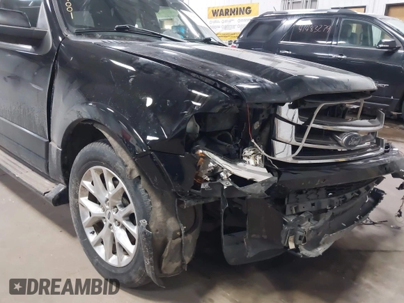 2016 Ford Expedition Limited with VIN 1FMJU2AT5GEF54592, listed as a IAAI auction lot 41494001 with 128,190 mi miles and . Bid and sale history available at DreamBid. Image 19.