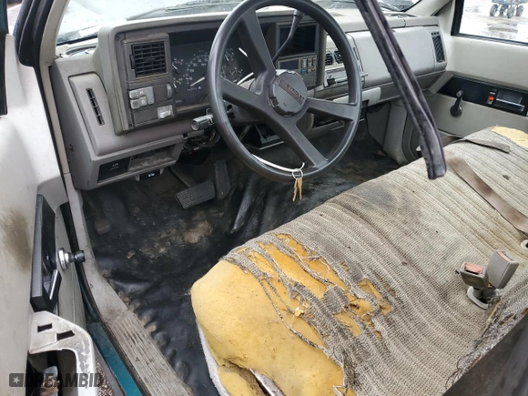 1994 Chevrolet C/K 1500 with VIN 1GCDC14Z2RZ202418, listed as a Copart auction lot 45372145 with 300,051 mi miles and Salvage Title. Bid and sale history available at carsss.com. Image 8.