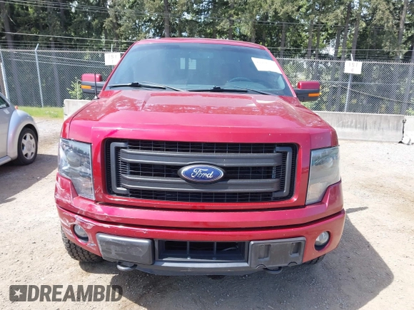 2014 Ford F-150 XL with VIN 1FTFW1ET5EKG06097, listed as a IAAI auction lot 42218332 with 208,263 mi miles and . Bid and sale history available at DreamBid. Image 12.