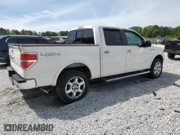 2014 Ford F-150 XL with VIN 1FTFW1ET2EKD01219, listed as a Copart auction lot 56361695 with 209,537 mi miles and Clean title. Bid and sale history available at DreamBid. Image 3.