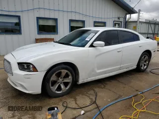 2013 Dodge Charger SE z VIN 2C3CDXBG3DH711038, wystawiony jako Copart lot #55312505 z przebiegiem 226 289 mil mil oraz Szkoda całkowita • Salvage title. Historia ofert i sprzedaży dostępna na DreamBid. Obrazek 1.