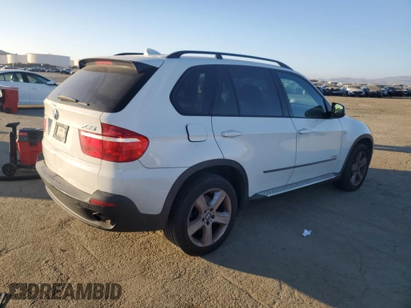 2009 BMW X5 30i with VIN 5UXFE43599L266640, listed as a Copart auction lot 89129815 with 190,044 mi miles and Salvage Title. Bid and sale history available at carsss.com. Image 3.