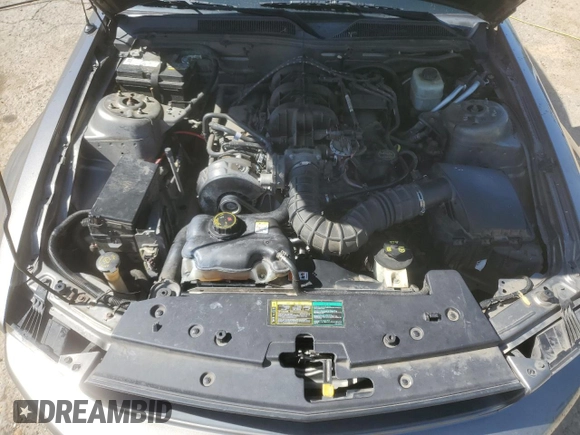 2005 Ford Mustang Deluxe with VIN 1ZVFT84N155232118, listed as a Copart auction lot 53033395 with 91,652 mi miles and Salvage Title. Bid and sale history available at carsss.com. Image 11.