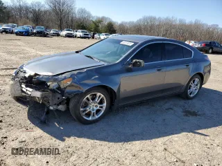 2010 Acura TL with VIN 19UUA8F26AA021101, listed as a Copart auction lot 48550635 with 141,116 mi miles and Clean Title. Bid and sale history available at carsss.com. Image 1.