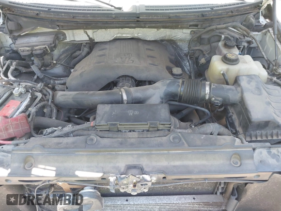 2011 Ford F-150 XLT with VIN 1FTFW1ET3BFB56681, listed as a IAAI auction lot 42576366 with 96,938 mi miles and . Bid and sale history available at DreamBid. Image 10.