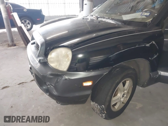 2004 Hyundai Santa Fe GLS with VIN KM8SC13E74U666943, listed as a IAAI auction lot 41616623 with 196,665 mi miles. Bid and sale history available at carsss.com. Image 6.