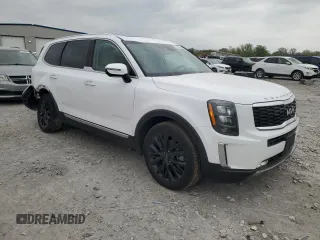 2022 Kia Telluride SX with VIN 5XYP5DHC4NG246878, listed as a Copart auction lot 53705855 with 58,265 mi miles and Salvage title. Bid and sale history available at DreamBid. Image 4.
