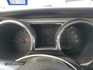 2006 Ford Mustang Standard with VIN 1ZVFT80N965176422, listed as a Copart auction lot 51189135 with 174,053 mi miles and Salvage Title. Bid and sale history available at carsss.com. Image 9.