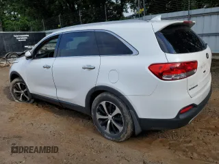 2016 Kia Sorento EX with VIN 5XYPH4A18GG041373, listed as a Copart auction lot 59170545 with 110,408 mi miles and Salvage title. Bid and sale history available at DreamBid. Image 2.