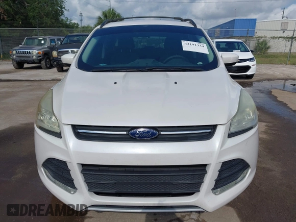 2014 Ford Escape SE with VIN 1FMCU0GX2EUA02753, listed as a IAAI auction lot 42191334 with 205,289 mi miles. Bid and sale history available at carsss.com. Image 6.
