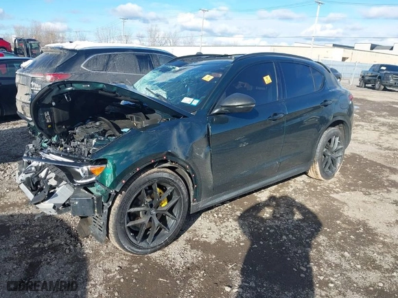 2019 Alfa Romeo Stelvio with VIN ZASPAKAN4K7C40834, listed as a IAAI auction lot 40954464 with 68,213 mi miles. Bid and sale history available at carsss.com. Image 2.
