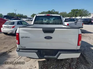 2016 Ford F-150 XL with VIN 1FTEX1CP4GFC85325, listed as a IAAI auction lot 41949318 with 252,263 mi miles and . Bid and sale history available at carsss.com. Image 16.