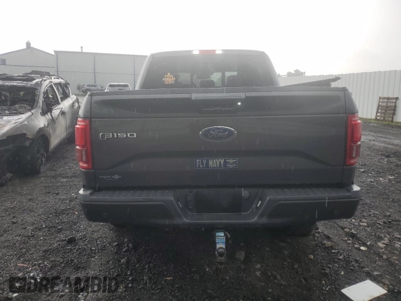 2015 Ford F-150 XLT with VIN 1FTEW1EG1FFC72157, listed as a Copart auction lot 56288304 with 116,943 mi miles and Salvage Title. Bid and sale history available at carsss.com. Image 6.